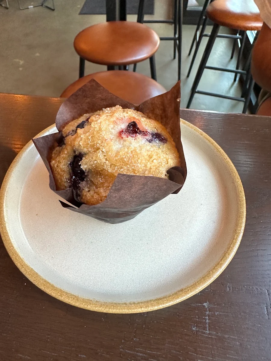 Blueberry Muffin