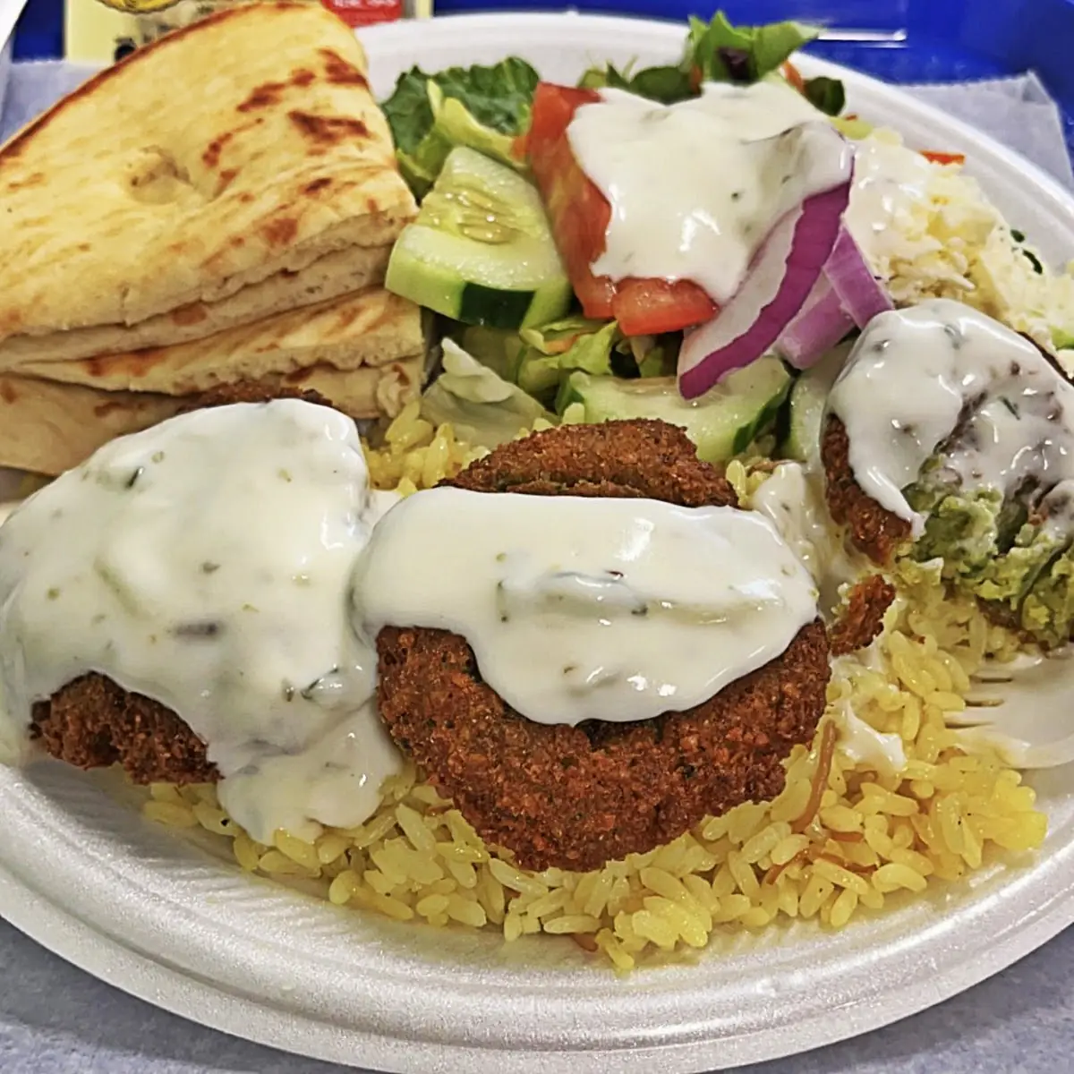 Falafel Plate