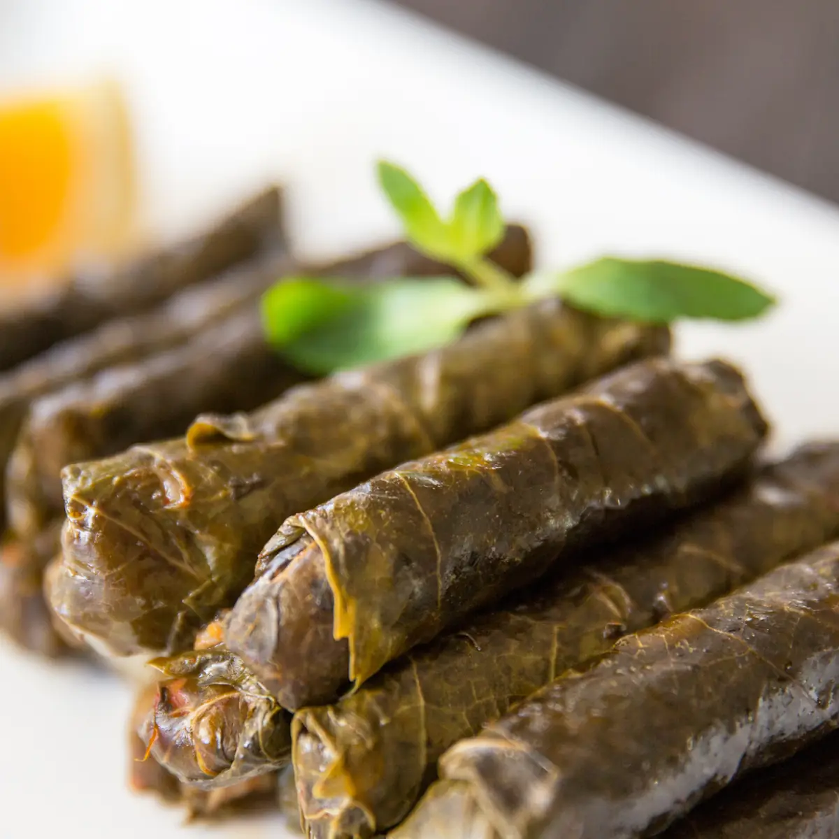 Grape Leaves