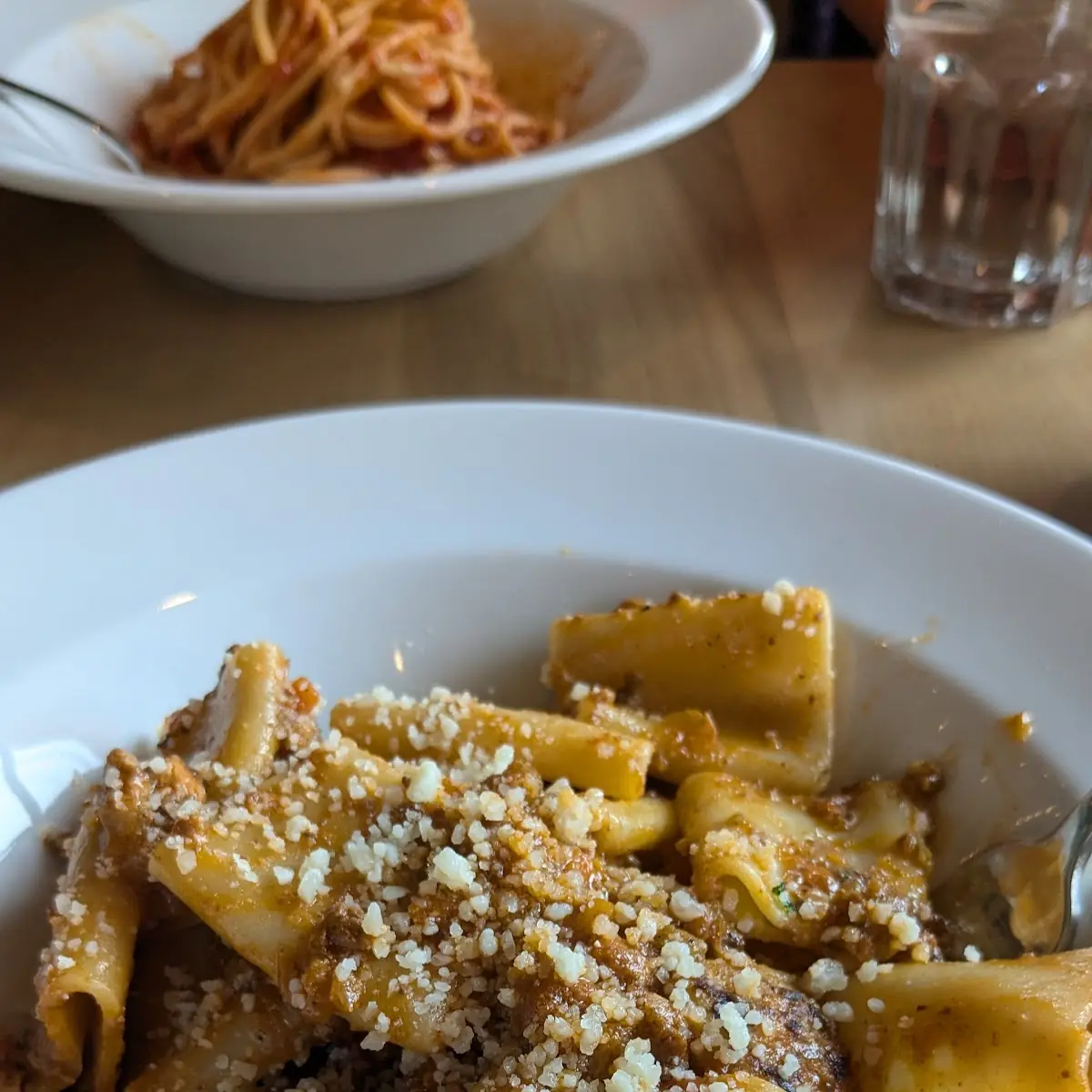 Short Rib Ragu