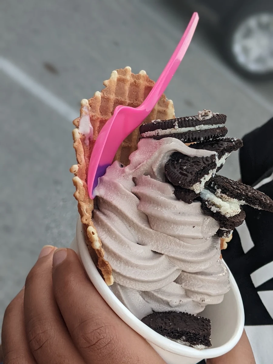 Oreo Frozen Yogurt