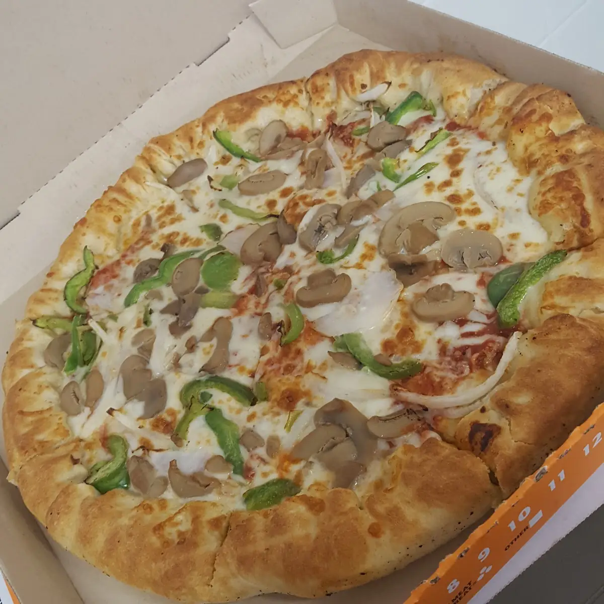 Supposed to Be Veggie Pizza Extra Mushrooms