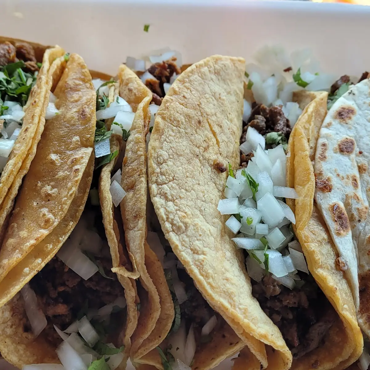 Anda Taco Pastor Taco Pastor Quesadilla