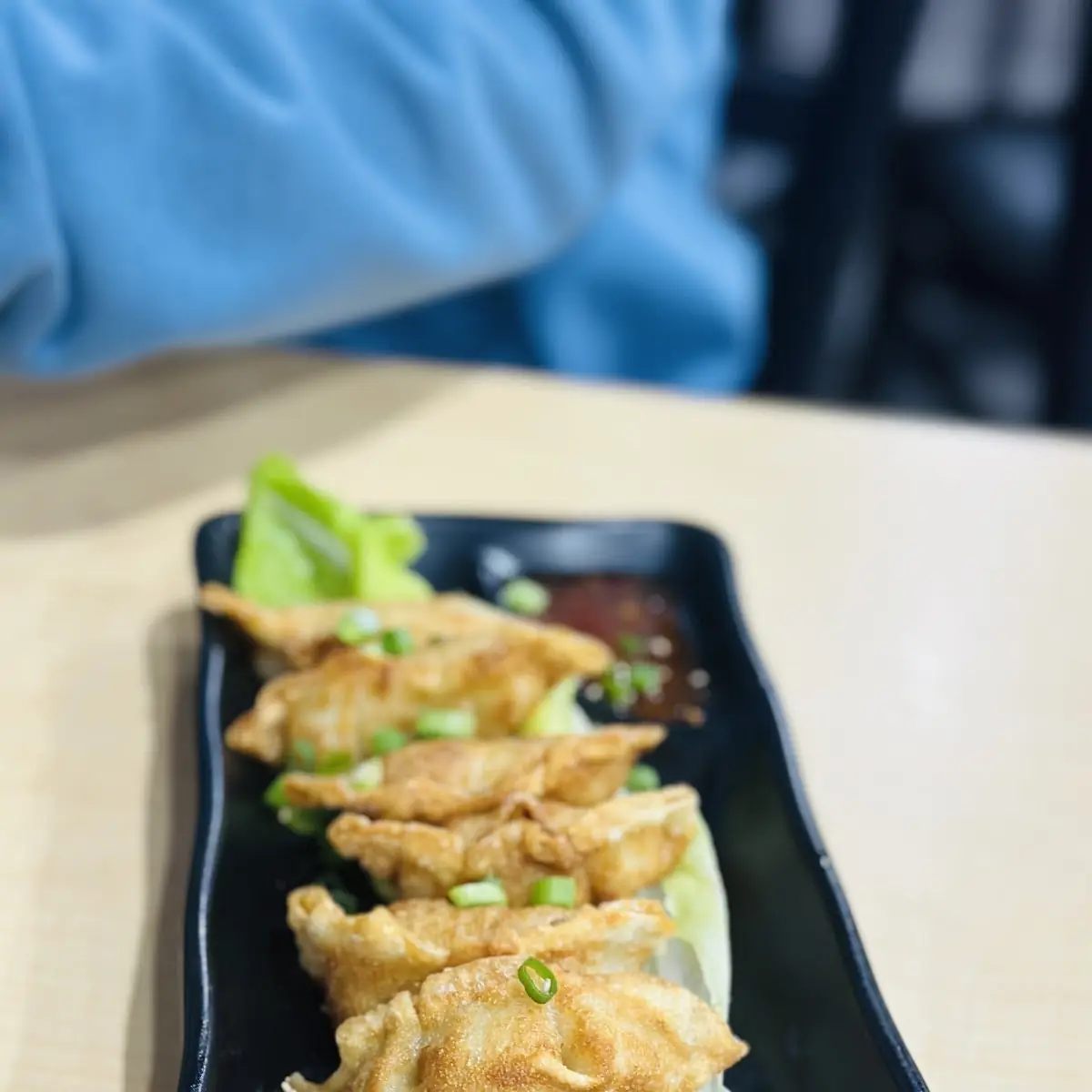 Chicken Dumpling Steamed or Pan Fried