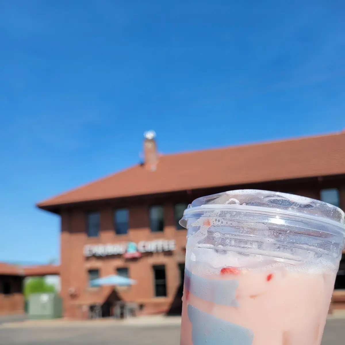 Strawberry Fruit Shaker