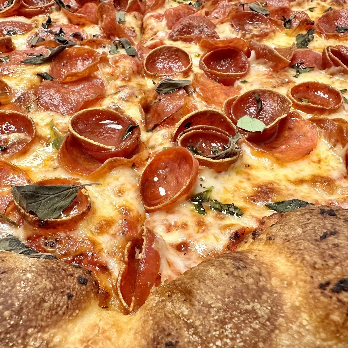 The Redshift (Pizza Sub)