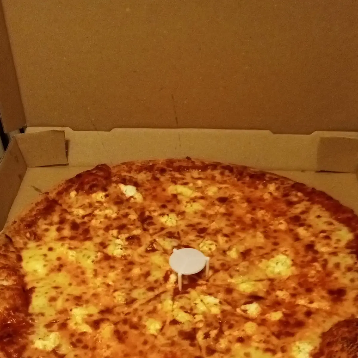 Five Cheese Pizza