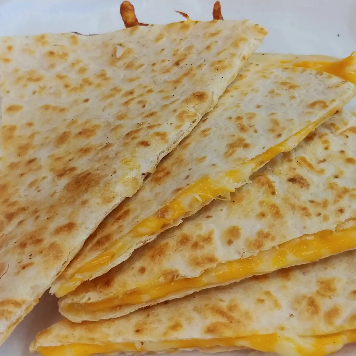 Cheese Quesadilla