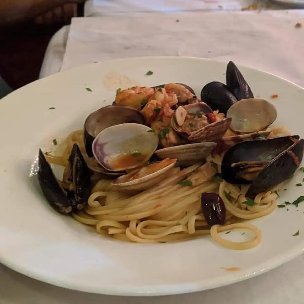 Penne Pasta with Fresh Seafood