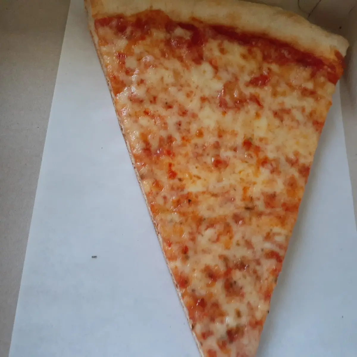Slice Cheese Pizza