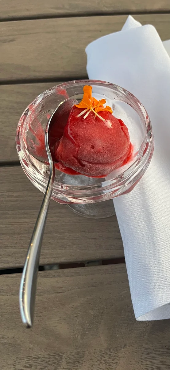 Mixed Berry Sorbet, Camas