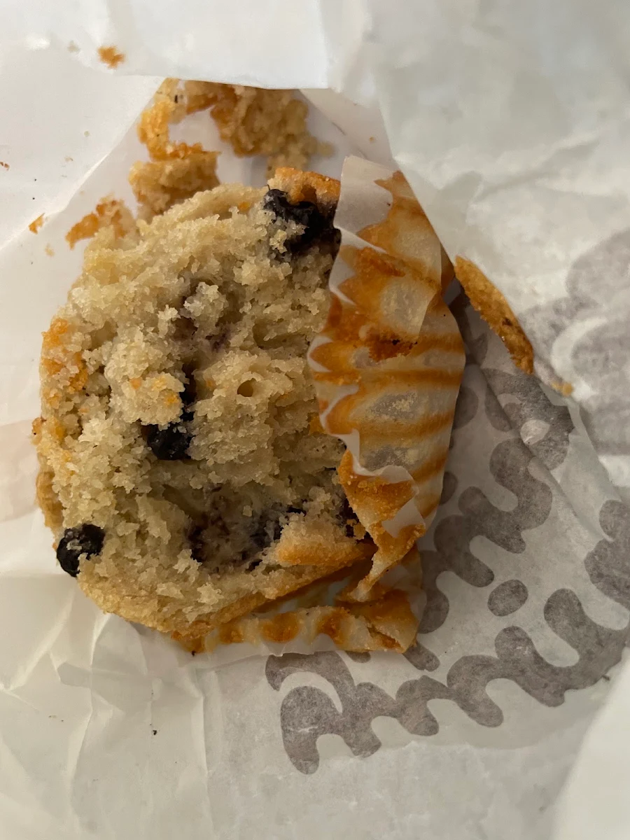 Blueberry Muffin