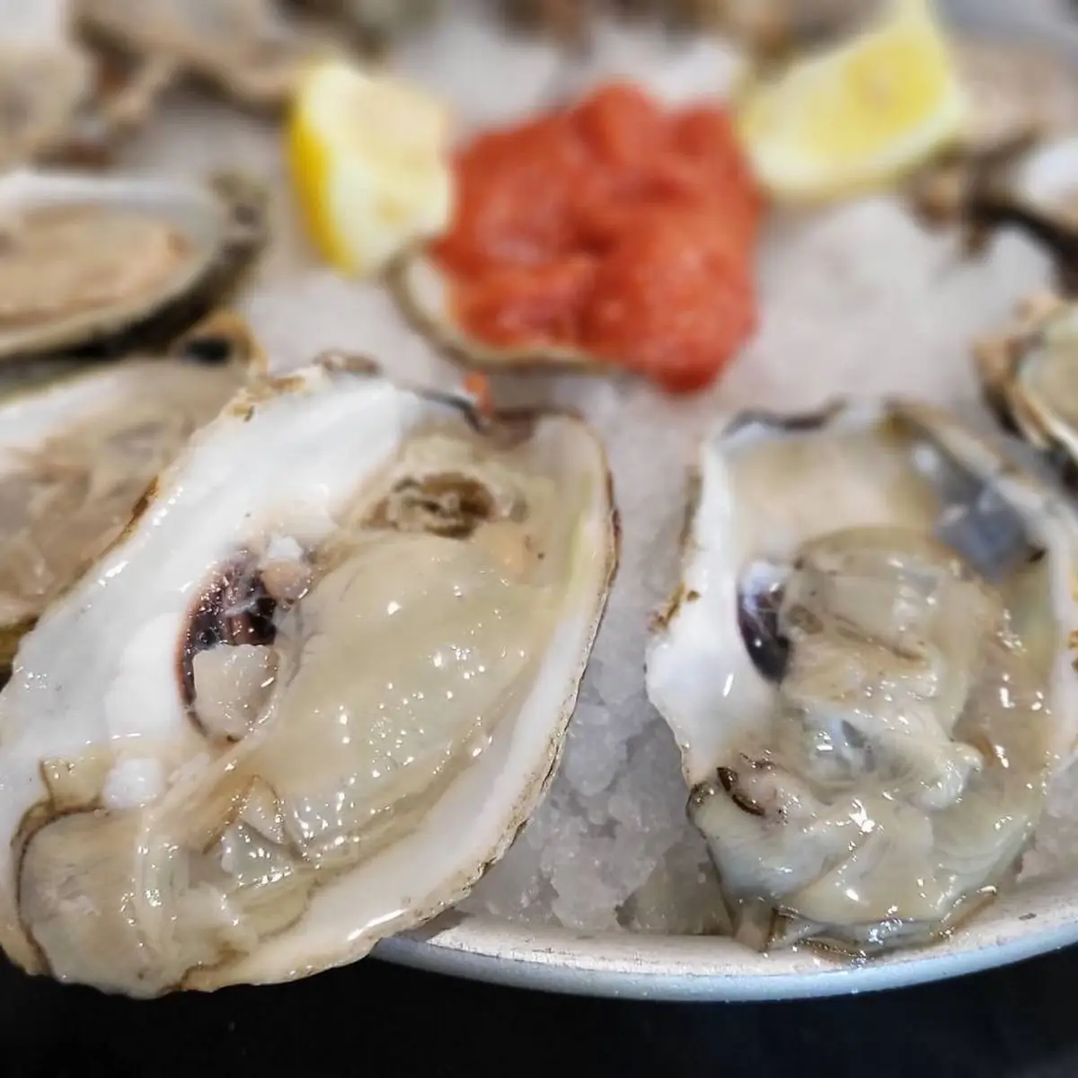 Raw Oysters on the Half Shell