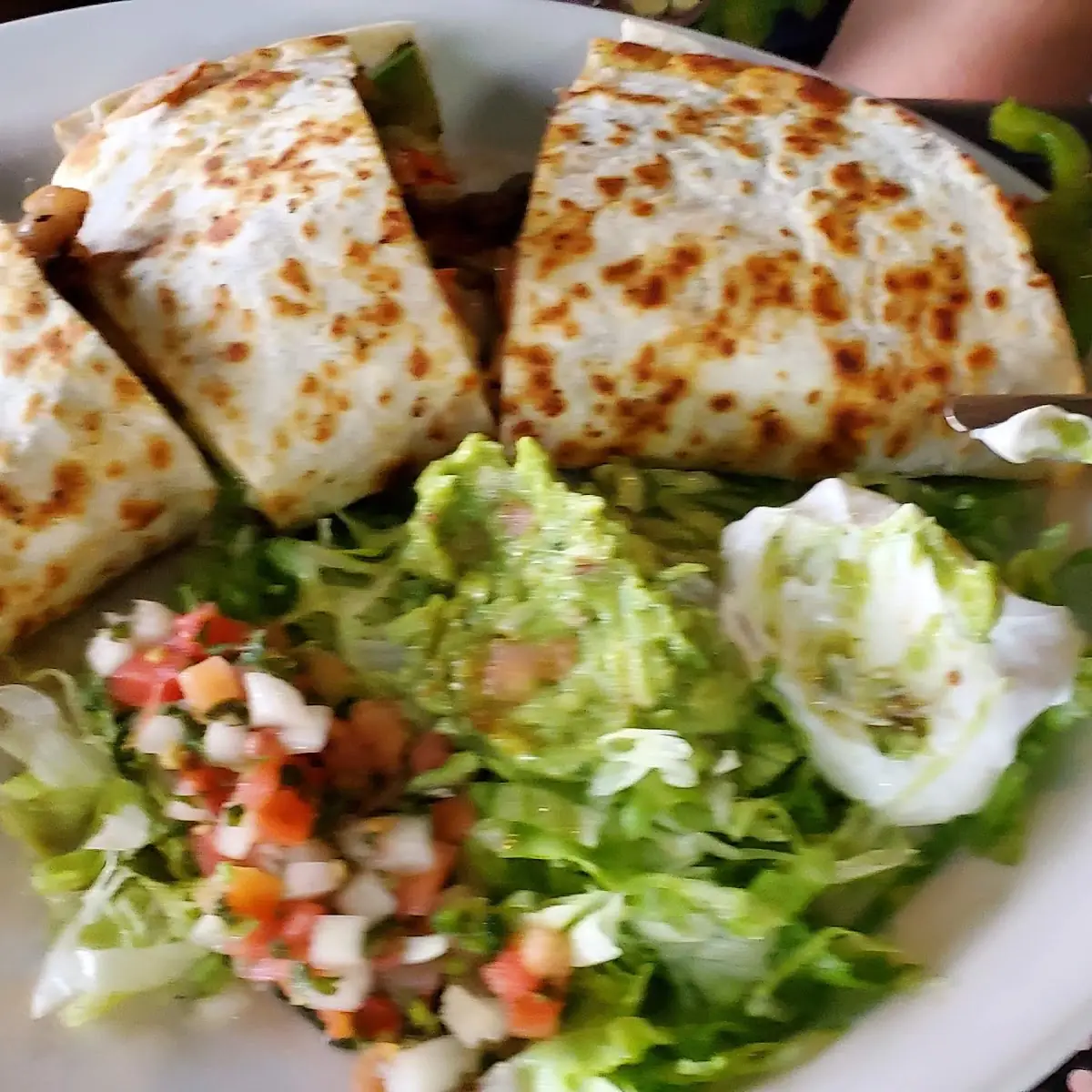 Steak Quesadilla