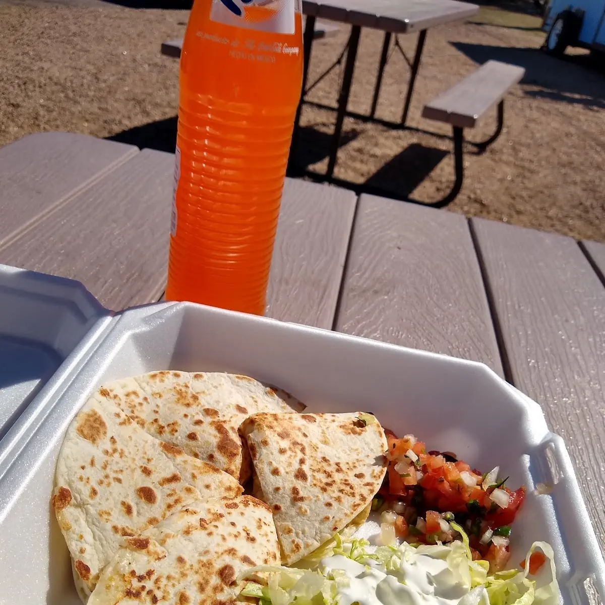 Chicken Fajita Quesadilla