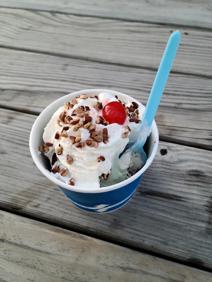 Mint Chocolate Chip Sundae