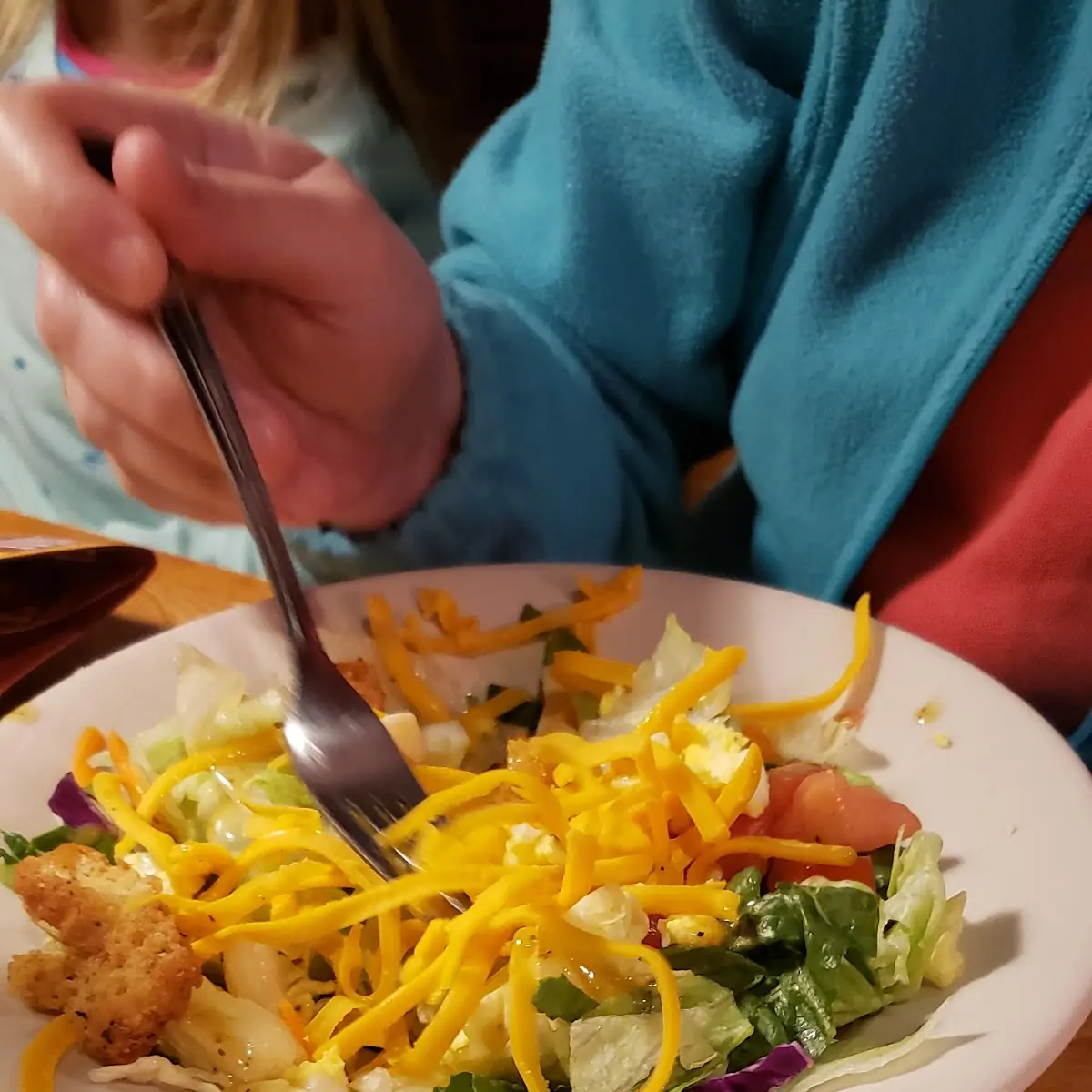 House Salad Steak Fries