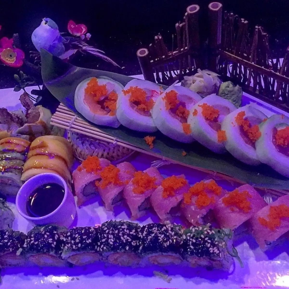 Sushi & Sashimi for One
