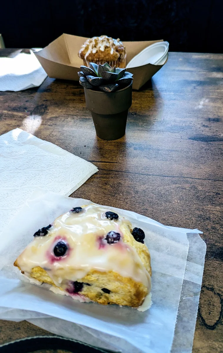 Blueberry Muffin