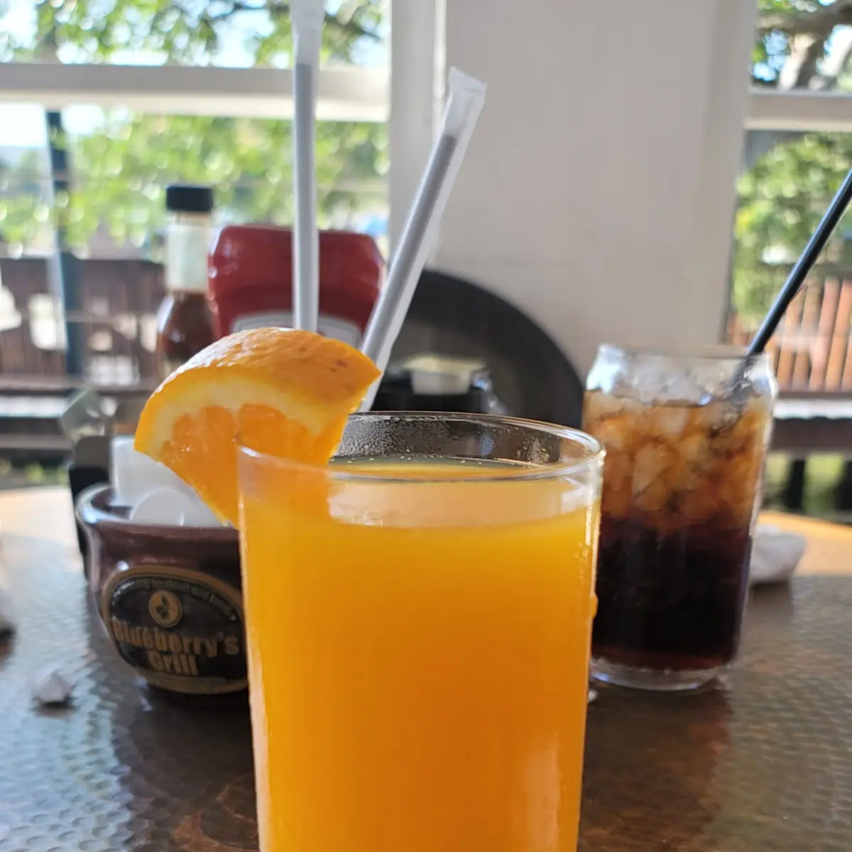 Fresh Squeezed Orange Juice