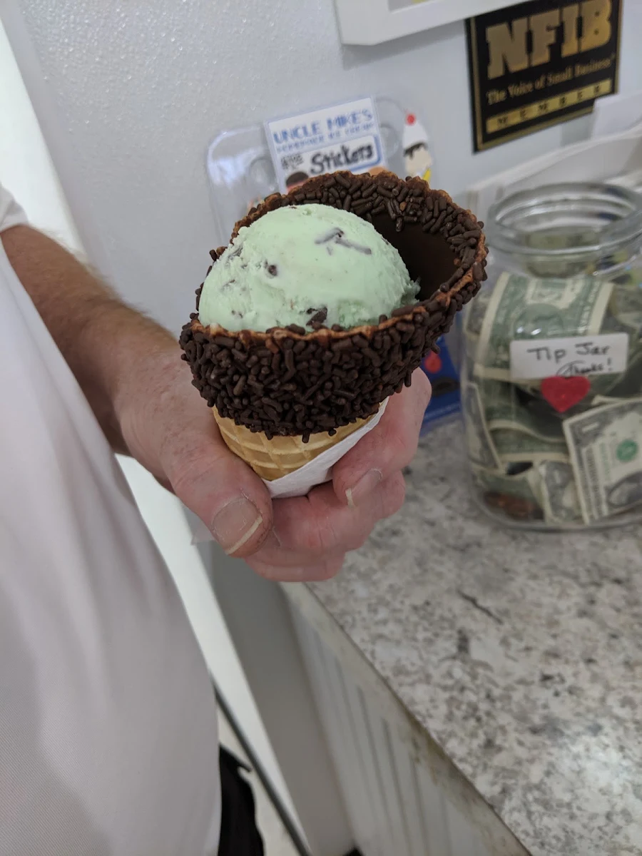 Mint Chocolate Chip
