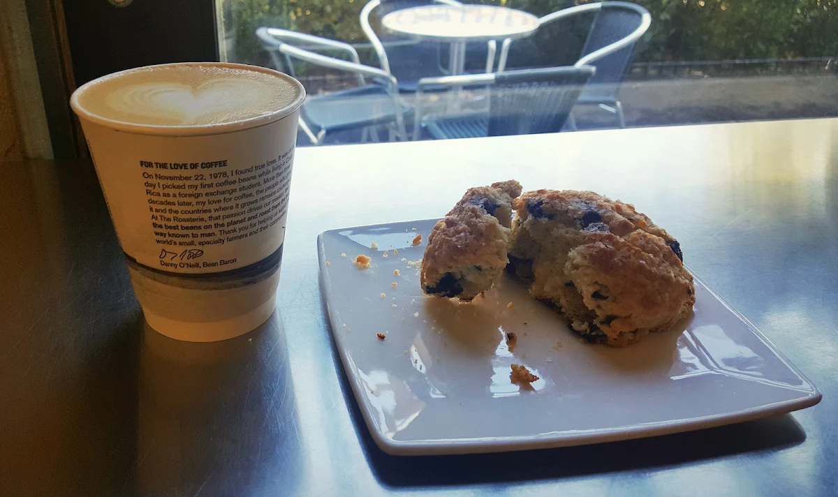 Blueberry Muffin