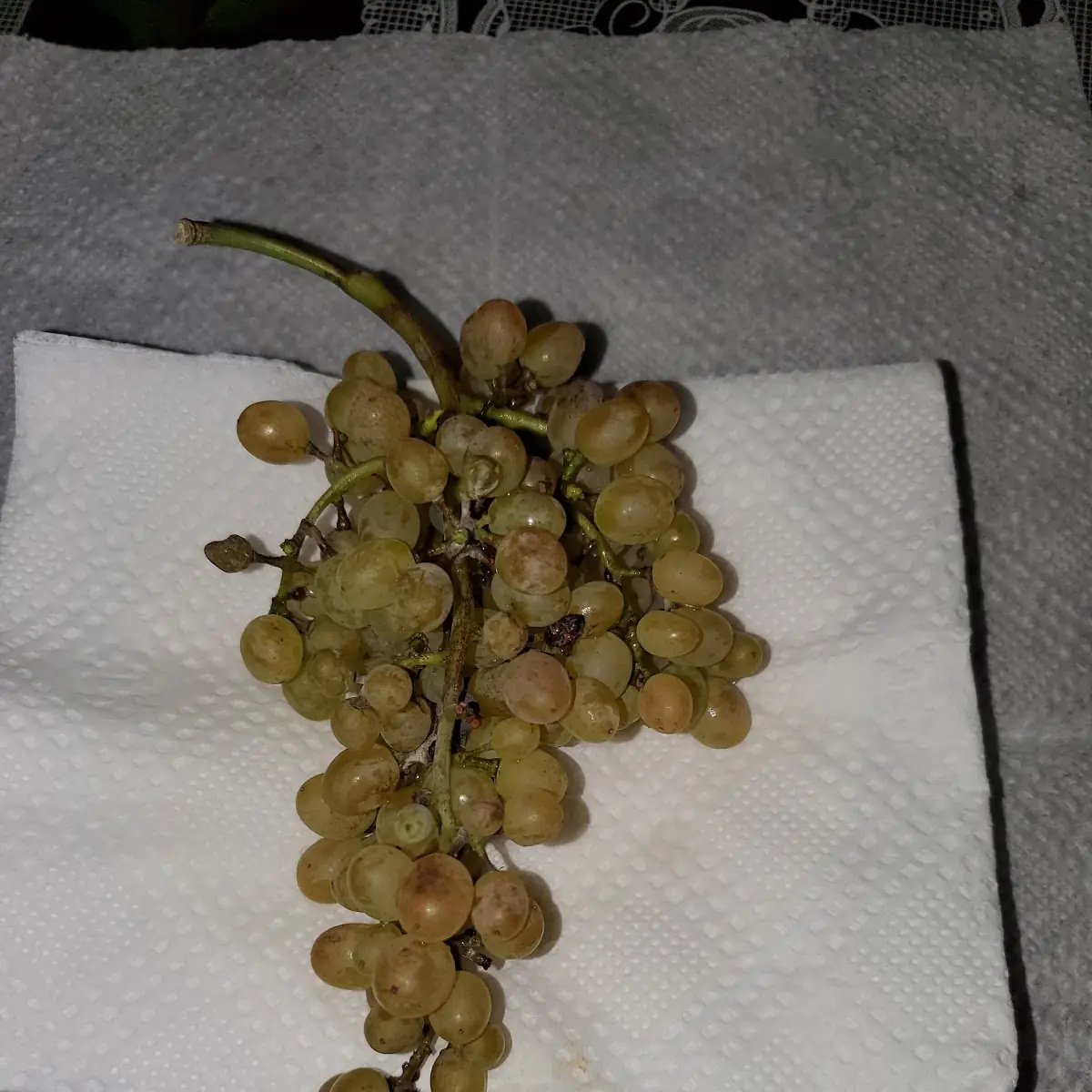 Desayuno Especial Grapes