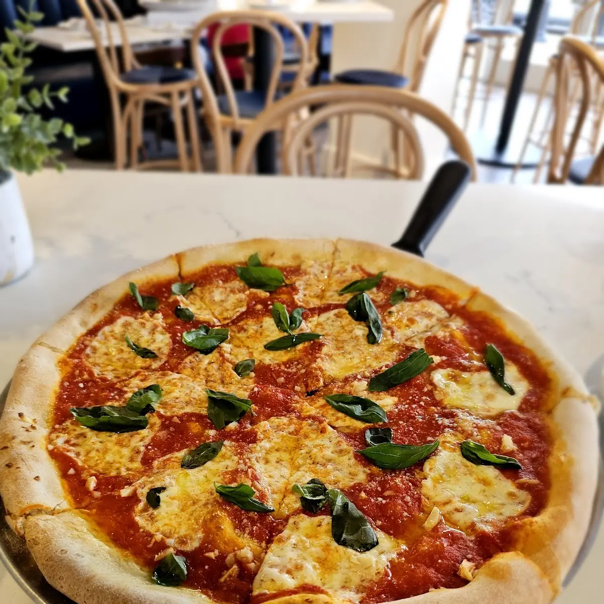 Margherita Pizza