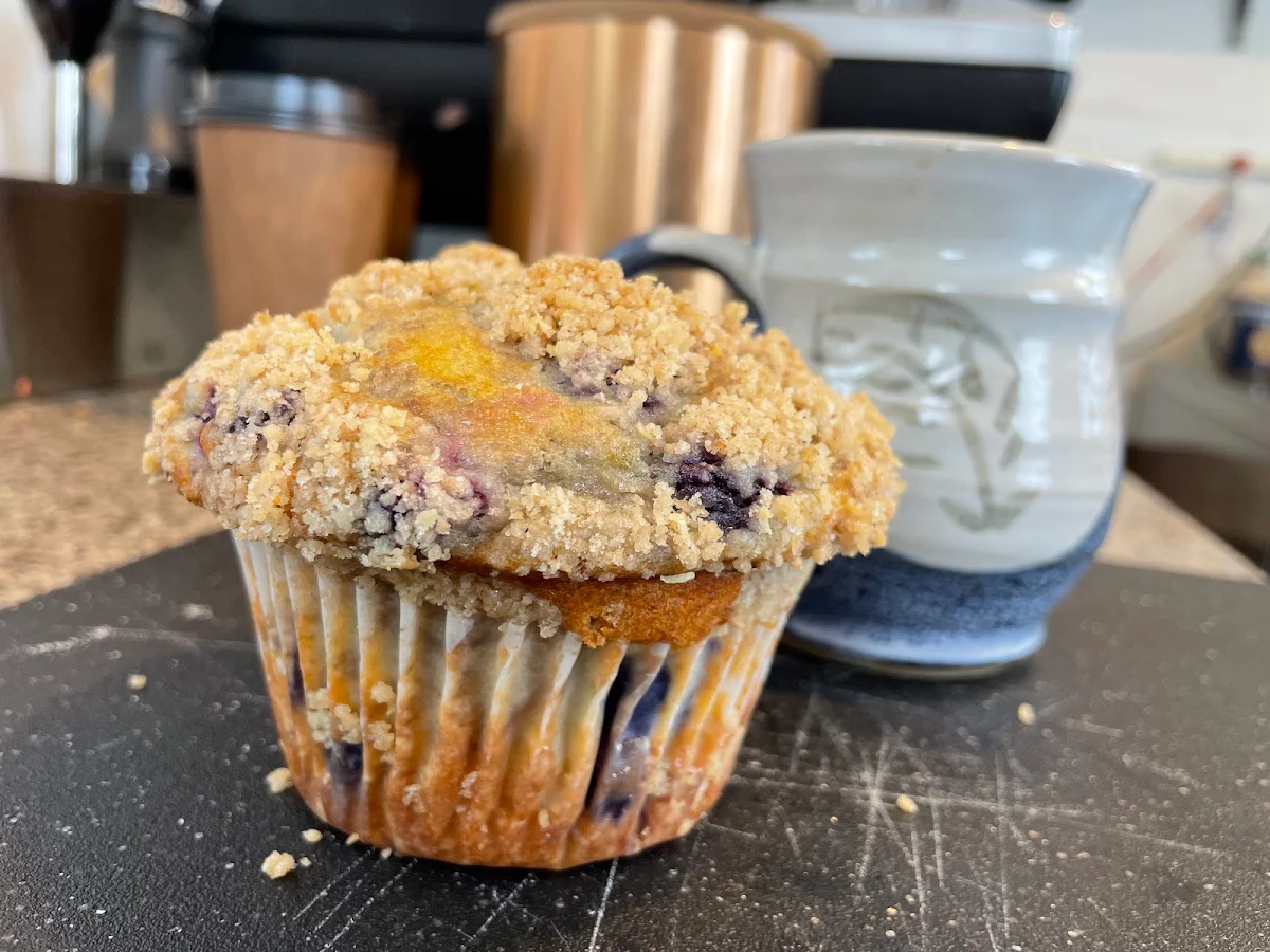 Blueberry Muffin
