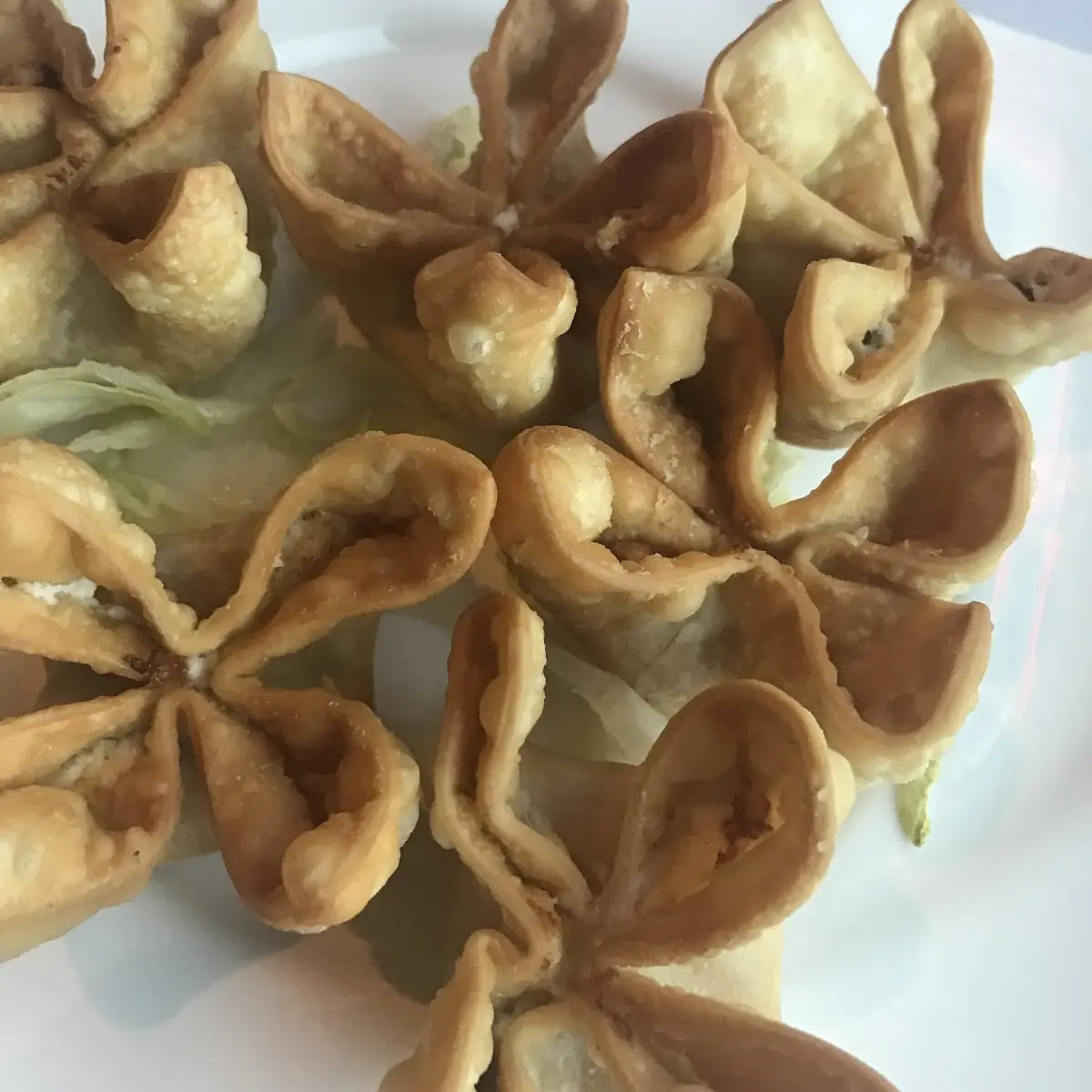 Crab Cheese Wonton 6
