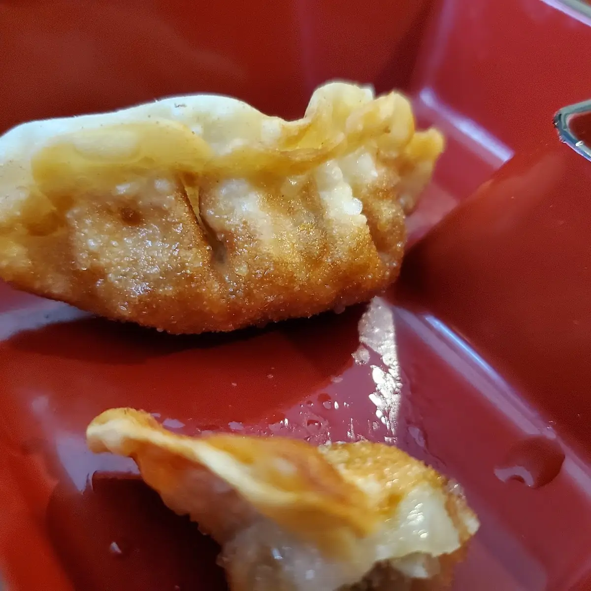 Gyoza