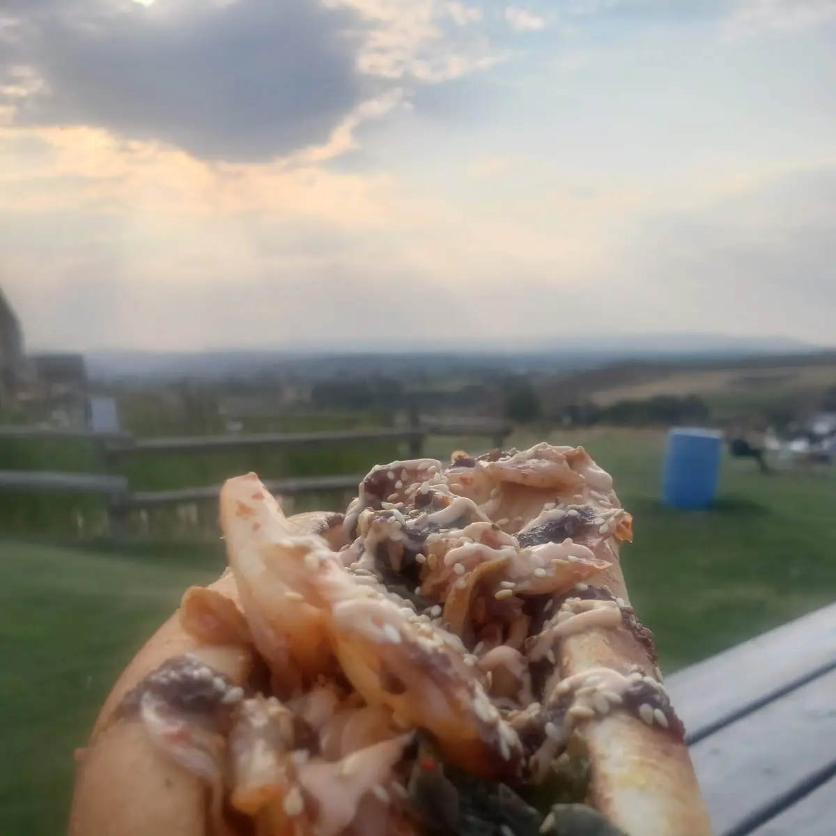 Hot Dog