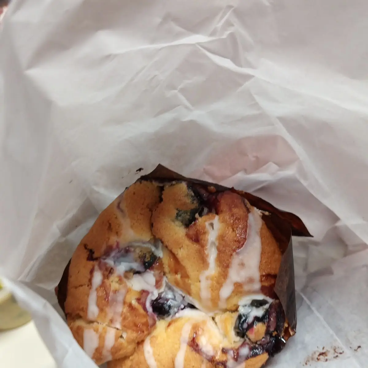 Blueberry Muffin