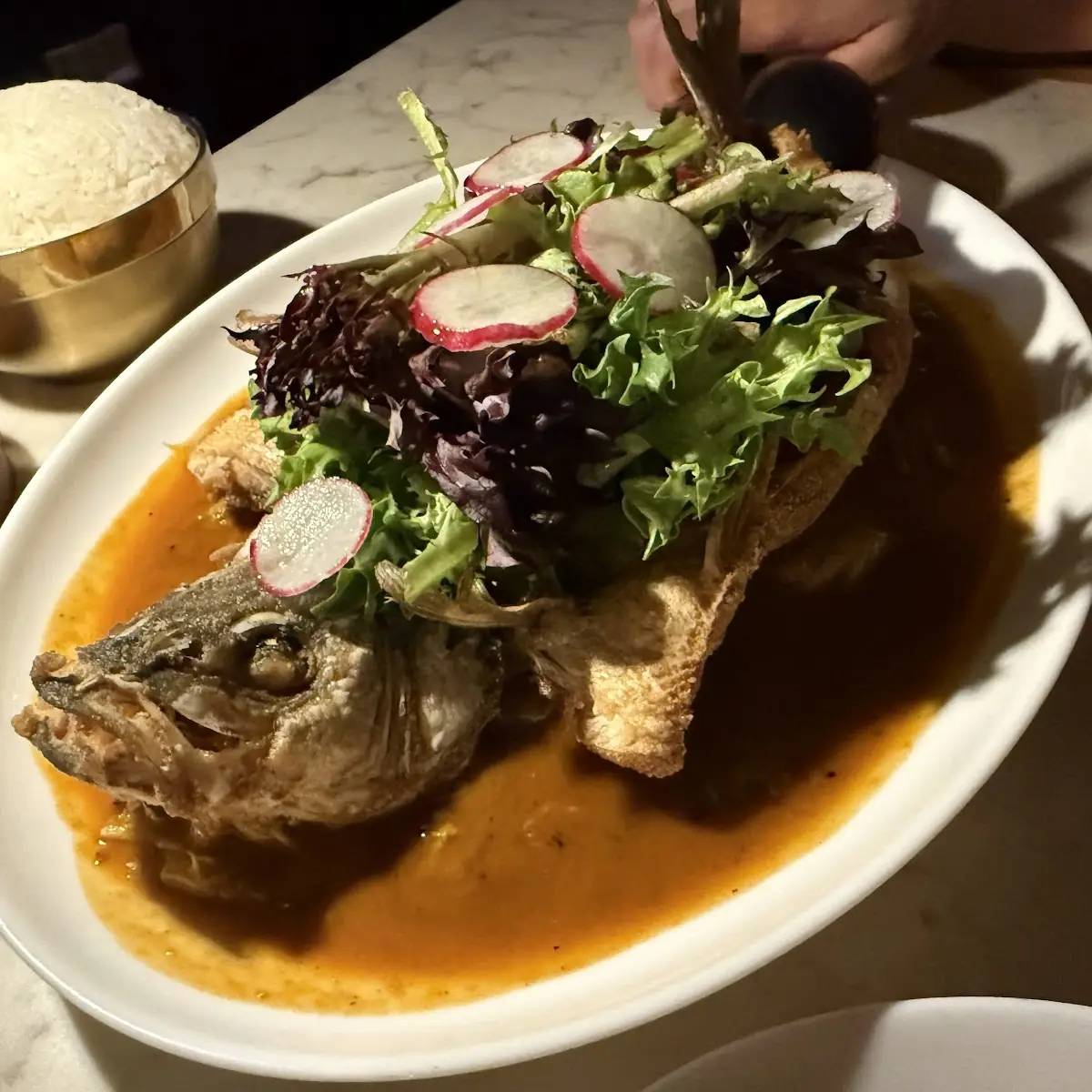 Lamb Shank