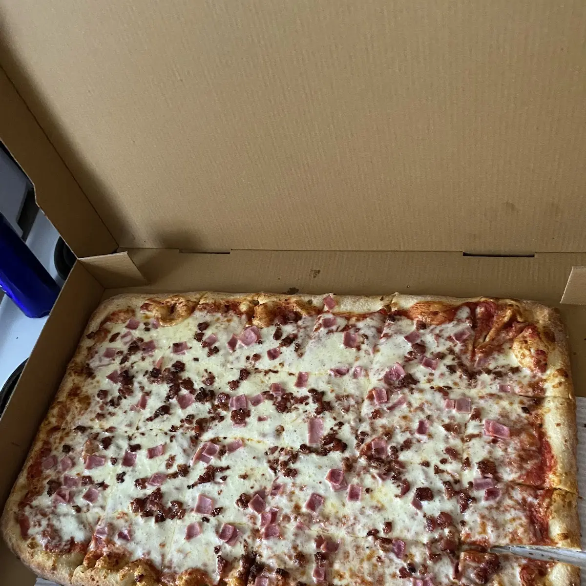 Cheese Pizza Sliced Tomato