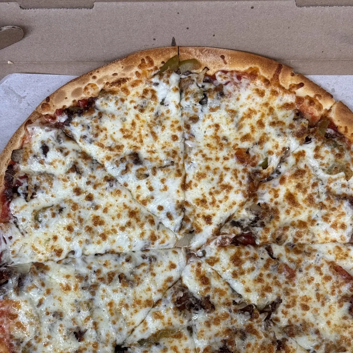 Plain Cheese Pizza