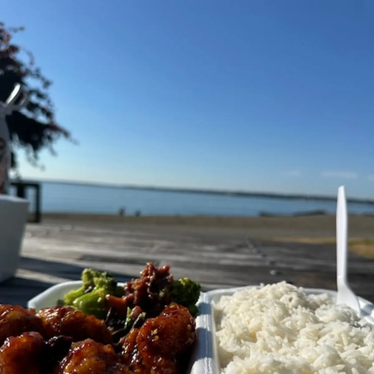 Broccoli Beef and General TSO's Chicken
