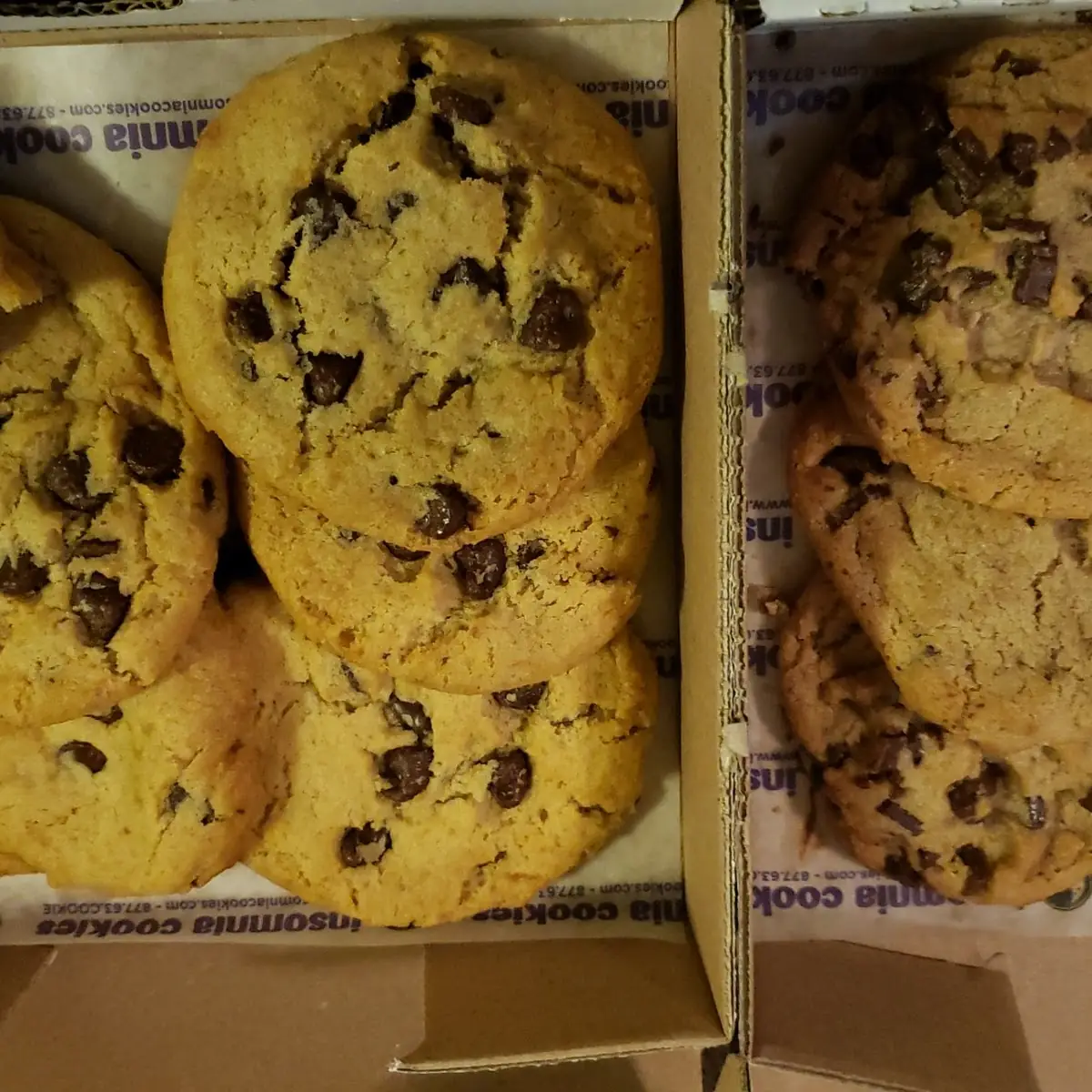 Chocolate Chunk Cookie and Chip