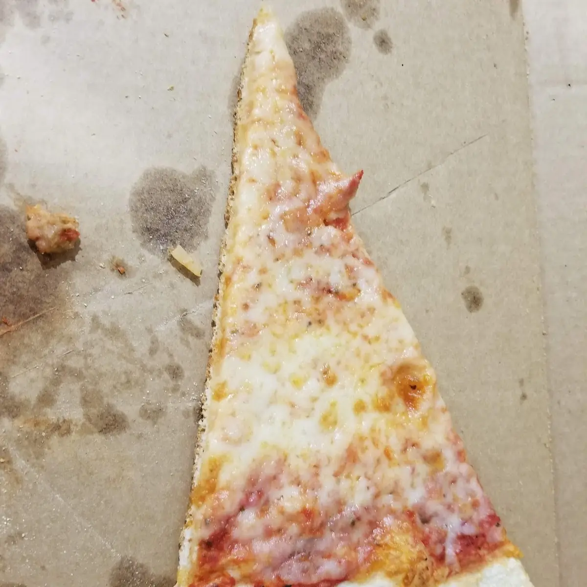 Slice of Cheese Pizza