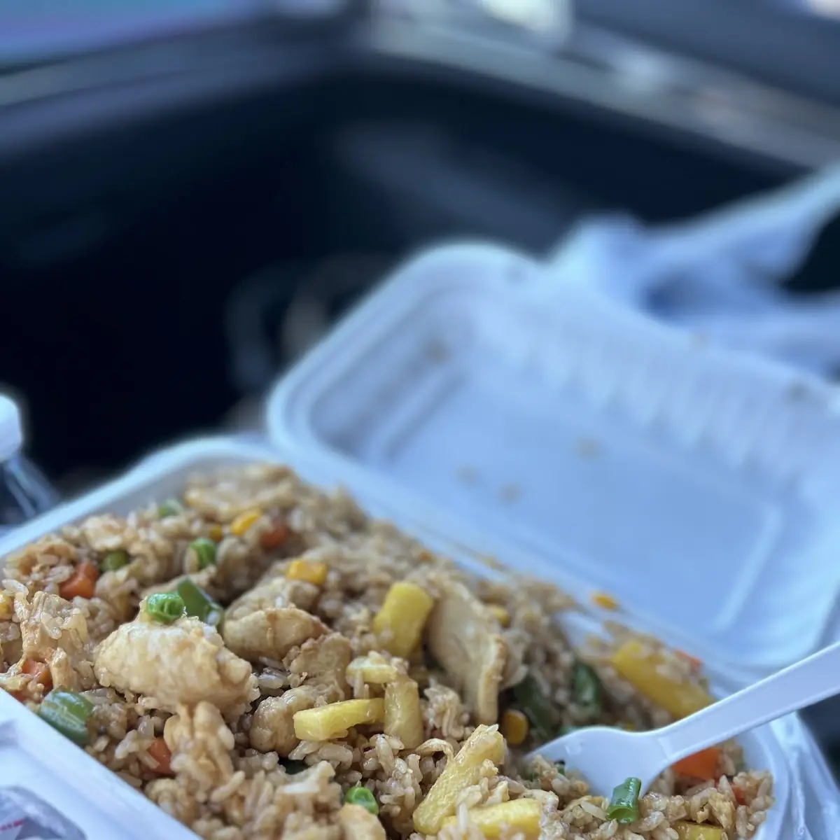 Japanese Fried Rice Chicken