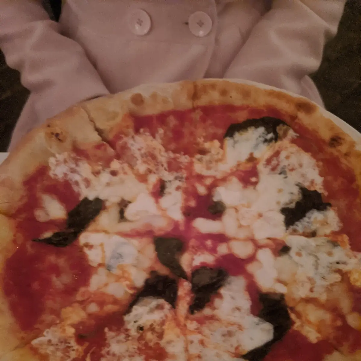 Pizza Margherita