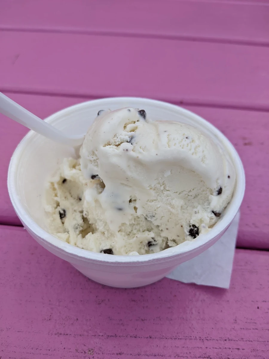 Chocolate Chip Hershey Ice Cream