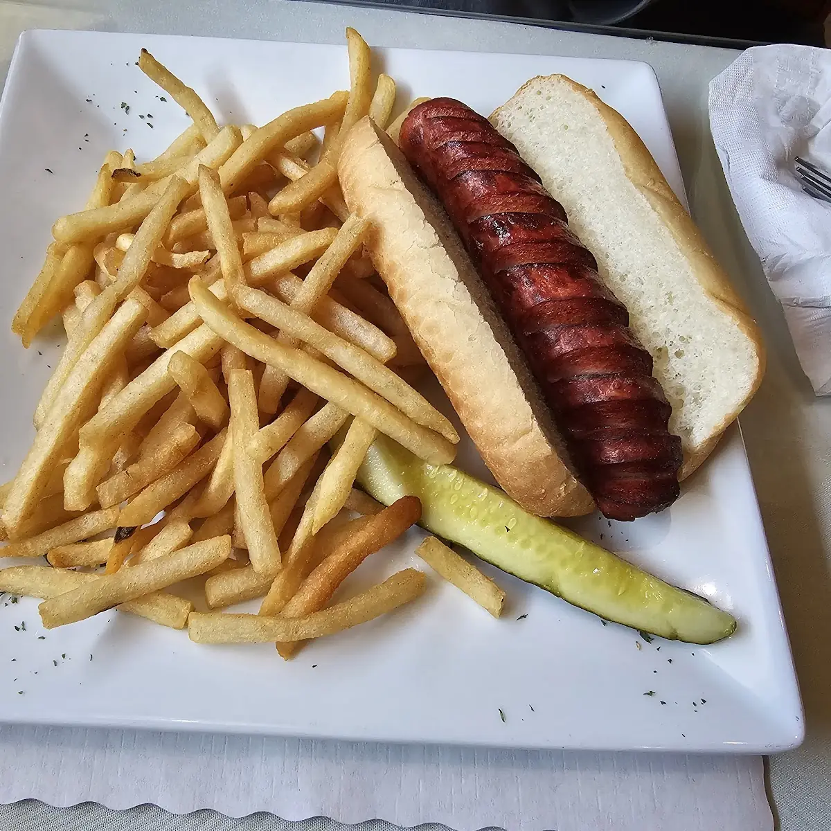 Hot Dog and Fries