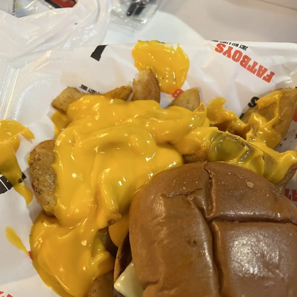 Cheese Fries