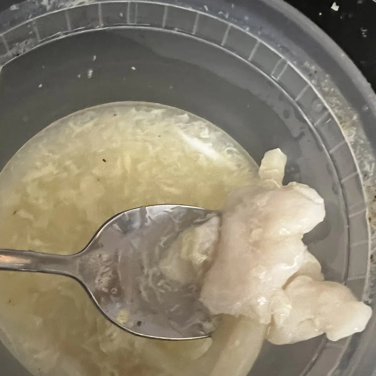 Chicken Soup