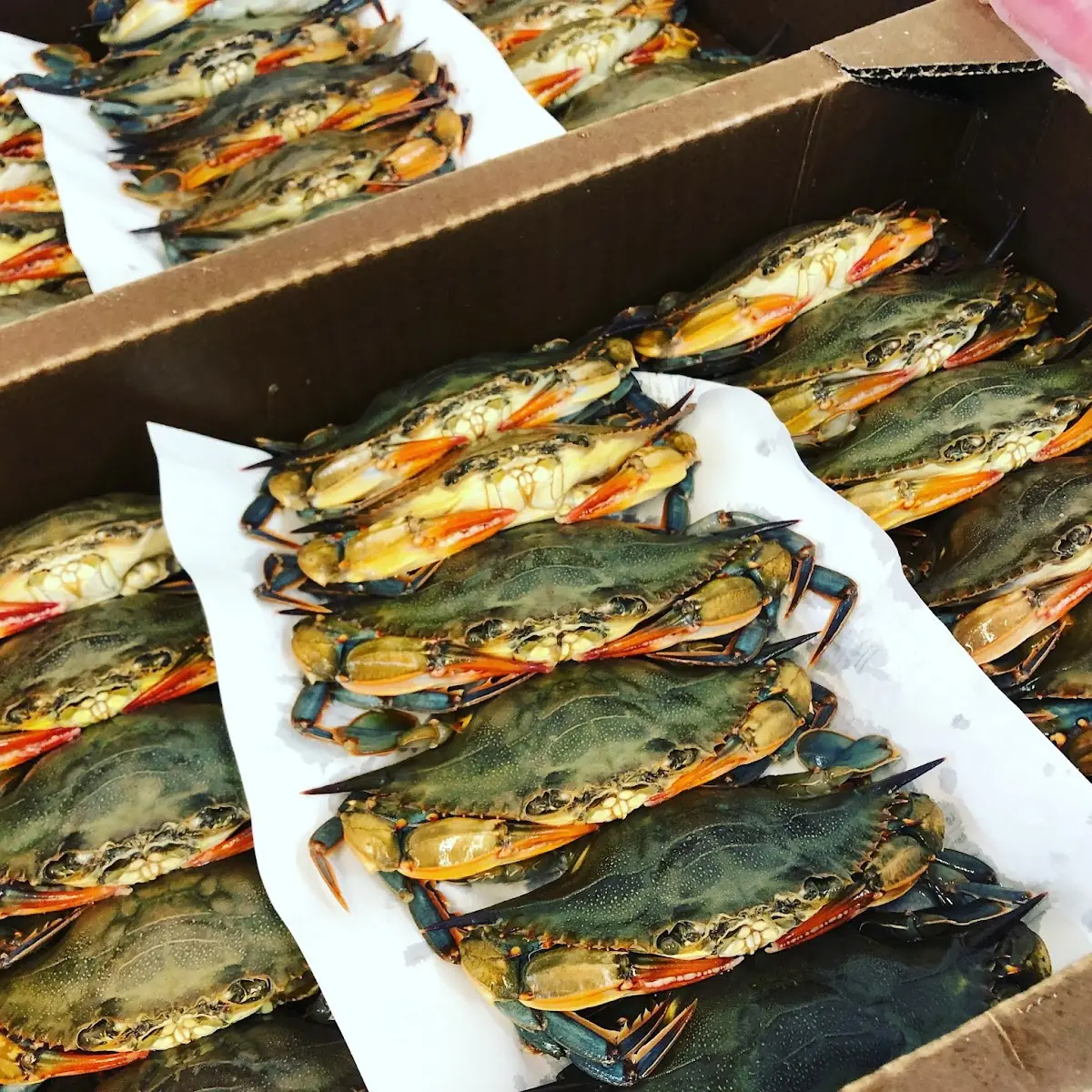 Local Soft Shell Crabs