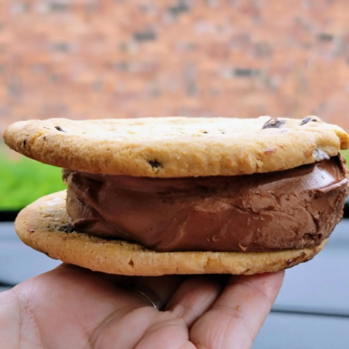 Chocolate Chip Cookie Sandwich