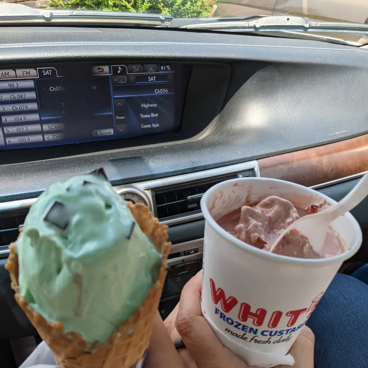 Mint Chocolate Chip Frozen Custard and Whitzer