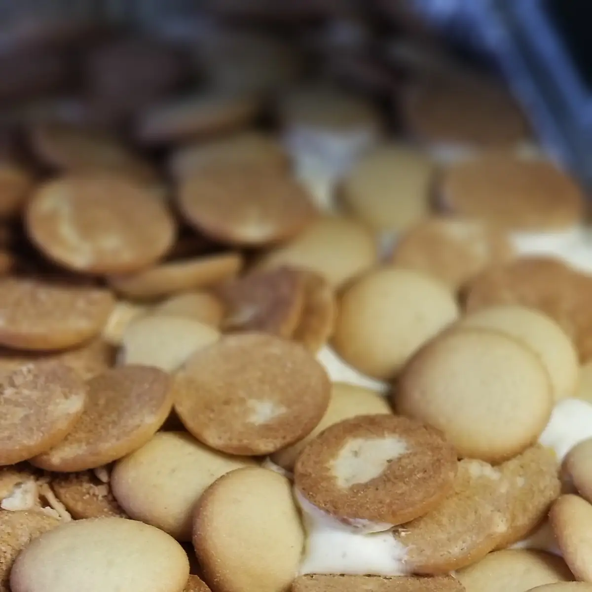 Banana Pudding