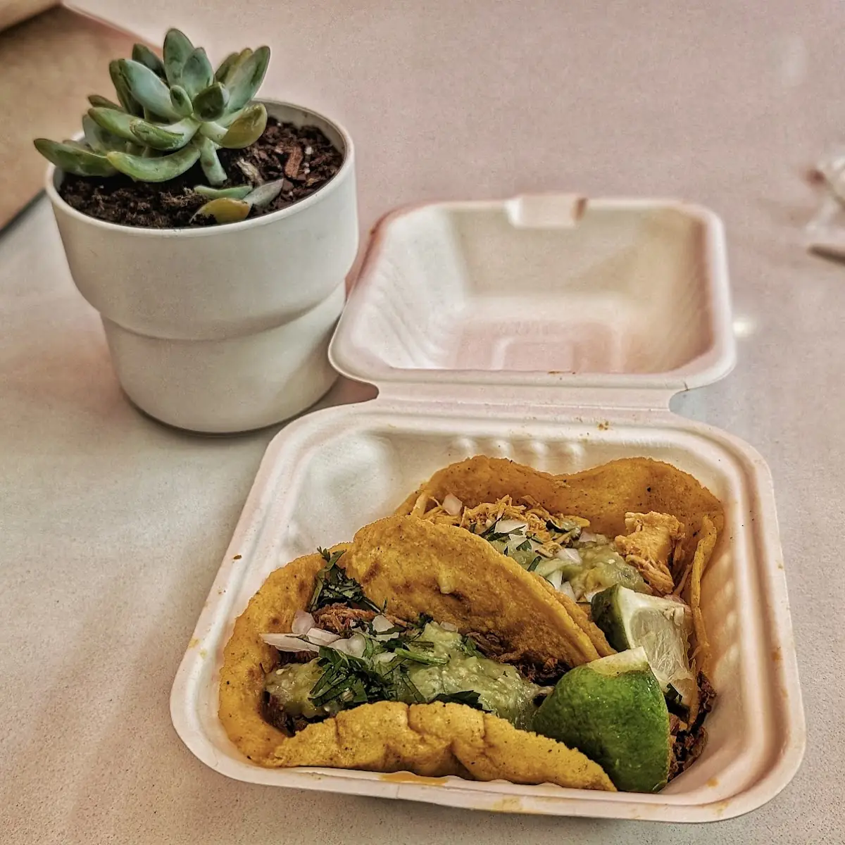 Birria and Chicken Tacos